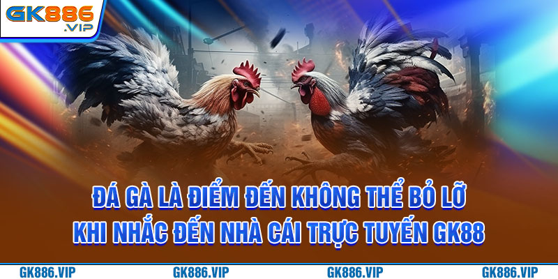 Đá gà là điểm đến không thể bỏ lỡ khi nhắc đến nhà cái trực tuyến GK88